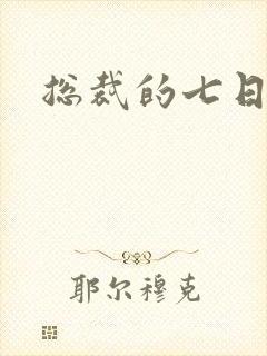 总裁的七日恋人