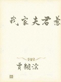 我家夫君惹不起