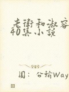 老卫和淑容1-40集小说