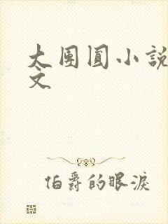 大团圆小说集全文