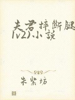 夫君摔断腿后(1v2)小说