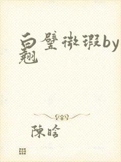 白璧微瑕by连翘