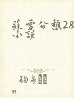 苏雪公憩28篇小说