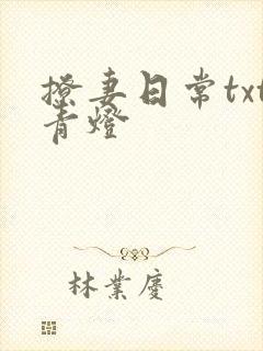 撩妻日常txt青灯