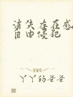 消失存在感消失自由侵犯