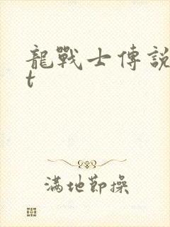 龙战士传说txt