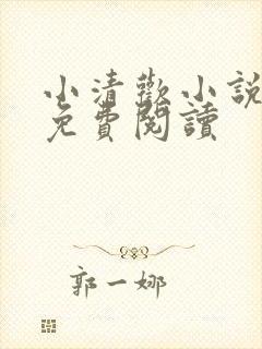 小清欢小说全文免费阅读