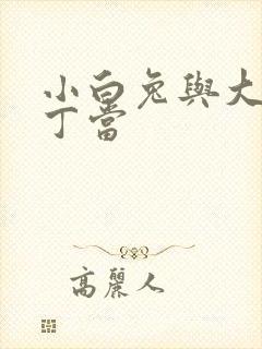 小白兔与大灰狼丁当