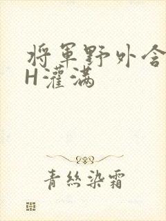 将军野外含公主H灌满