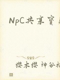 NpC共享宝贝
