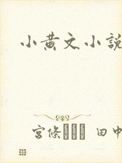 小黄文小说