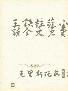 王铁柱苏小汐小说全文免费阅读最新章节