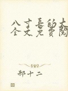 八寸长的大宝贝全文免费阅读
