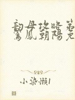 韵母攻略第二部鸾凤朝阳免费阅读