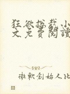 狂欲总裁小说全文免费阅读