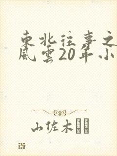 东北往事之黑道风云20年小说