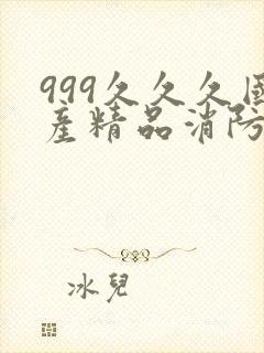 999久久久国产精品消防器材