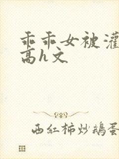 乖乖女被灌满精高h文