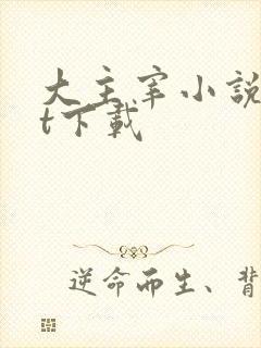 大主宰小说txt下载