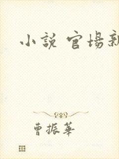 小说 官场新贵