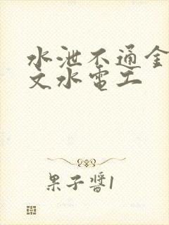 水泄不通金银原文水电工