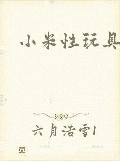 小米性玩具日记