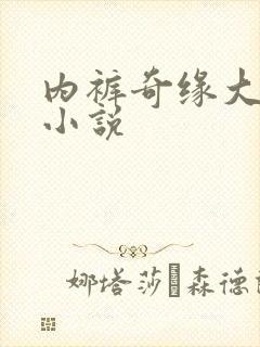 内裤奇缘大团结小说