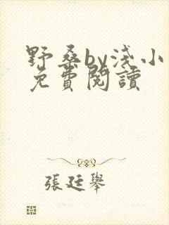 野桑by浅小说免费阅读