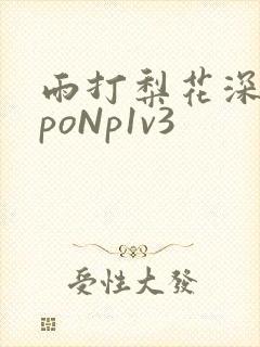 雨打梨花深闭门poNp1v3