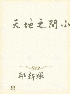 天地之间小说