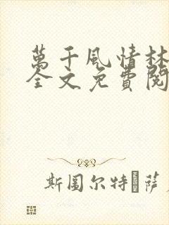 万千风情林小涛全文免费阅读