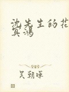 沈先生的花式调冥鸿