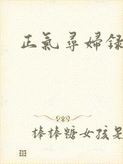 正气寻妇录