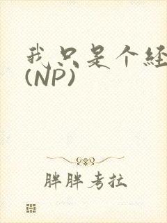 我只是个经纪人(NP)