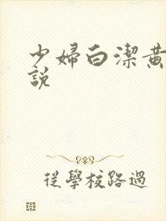 少妇白洁黄色小说