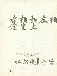 右相和左相一起淦皇上