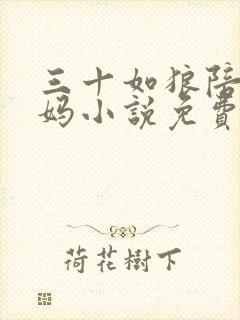 三十如狼陪读妈妈小说免费阅读