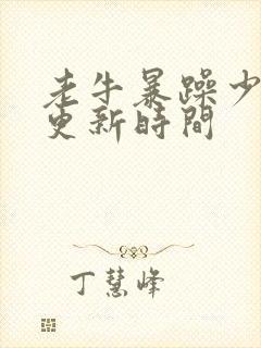 老牛暴躁少女的更新时间