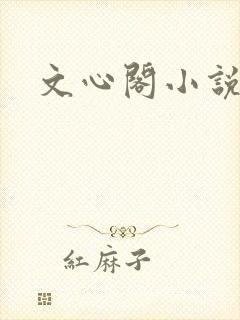 文心阁小说