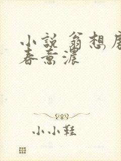 小说 翁想房中春意浓