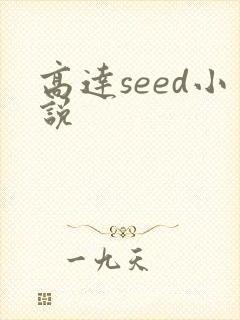 高达seed小说