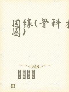 因缘(骨科 校园)