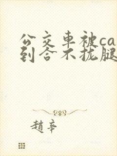 公交车被cao到合不拢腿视频