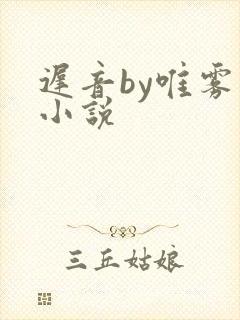 迟音by唯雾的小说