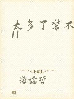 太多了装不下H11