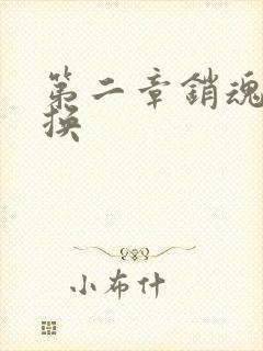 第二章销魂的交换