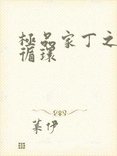 极品家丁之因果循环