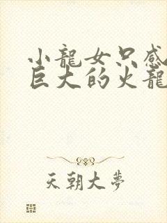 小龙女只感觉那巨大的火龙枪