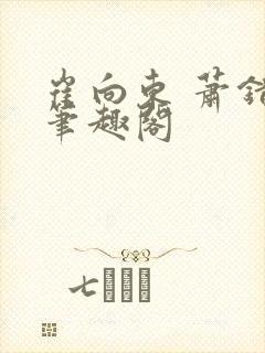 崔向东 萧错 笔趣阁