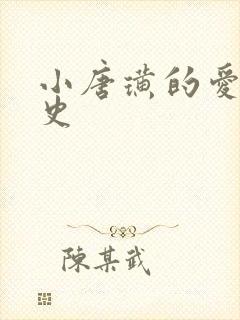 小唐璜的爱情历史